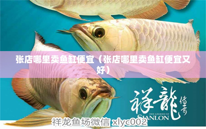 張店哪里賣魚缸便宜（張店哪里賣魚缸便宜又好）