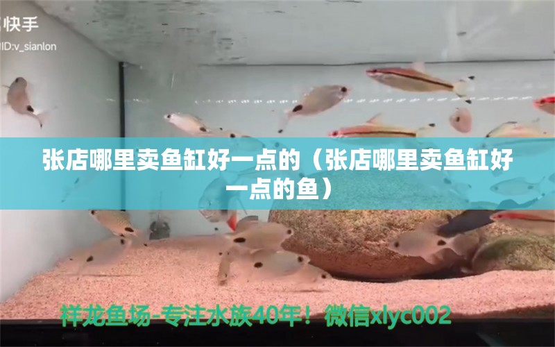 張店哪里賣(mài)魚(yú)缸好一點(diǎn)的（張店哪里賣(mài)魚(yú)缸好一點(diǎn)的魚(yú)）