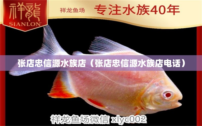 張店忠信源水族店（張店忠信源水族店電話）