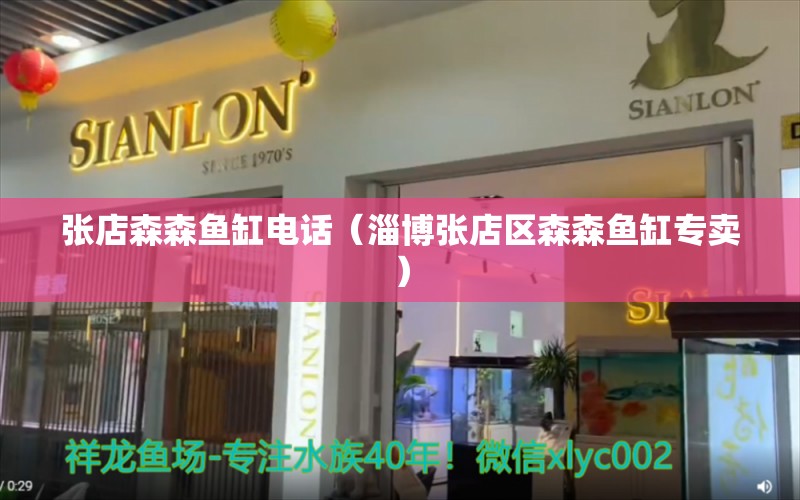 張店森森魚缸電話（淄博張店區(qū)森森魚缸專賣）