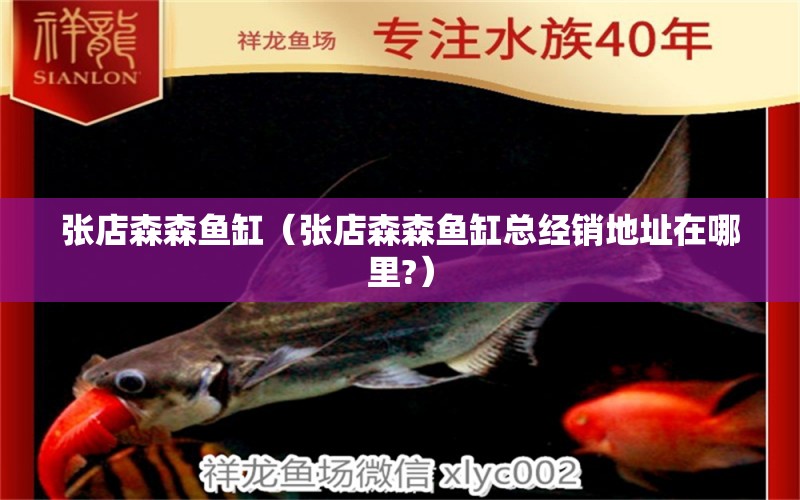 張店森森魚缸（張店森森魚缸總經(jīng)銷地址在哪里?） 祥龍水族醫(yī)院