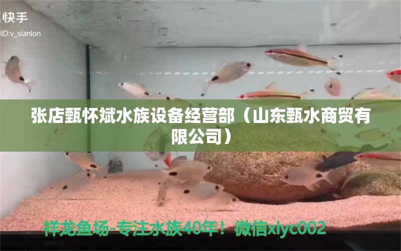 張店甄懷斌水族設(shè)備經(jīng)營(yíng)部（山東甄水商貿(mào)有限公司） 全國(guó)水族館企業(yè)名錄