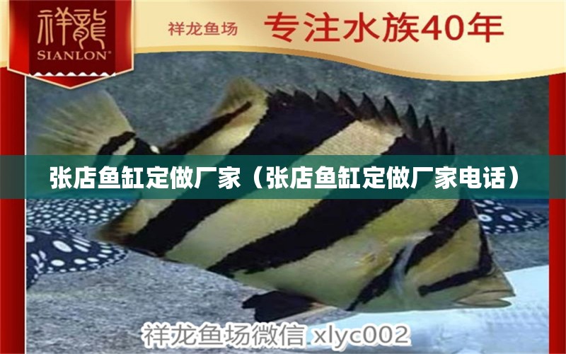 張店魚缸定做廠家（張店魚缸定做廠家電話） 其他品牌魚缸