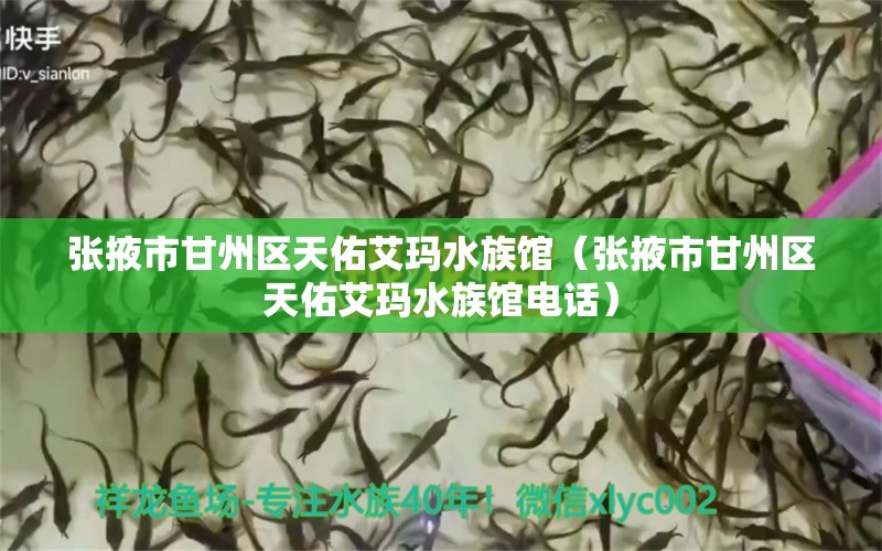 張掖市甘州區(qū)天佑艾瑪水族館（張掖市甘州區(qū)天佑艾瑪水族館電話）