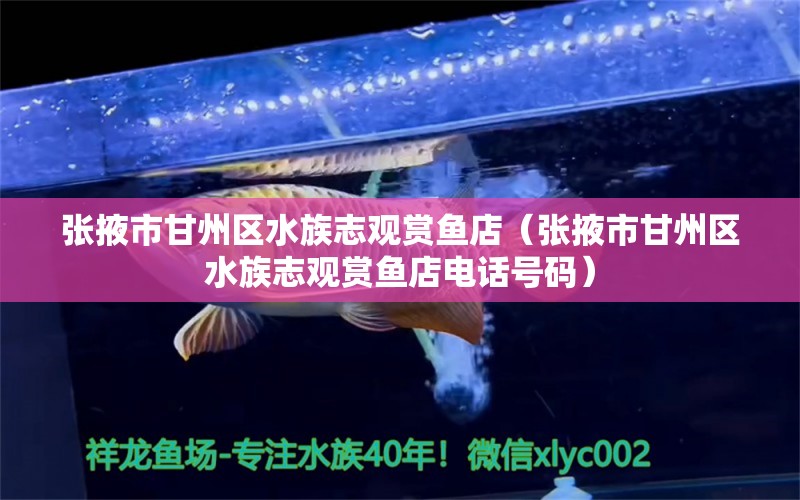 張掖市甘州區(qū)水族志觀賞魚店（張掖市甘州區(qū)水族志觀賞魚店電話號(hào)碼）