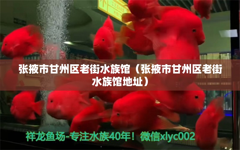 張掖市甘州區(qū)老街水族館（張掖市甘州區(qū)老街水族館地址）