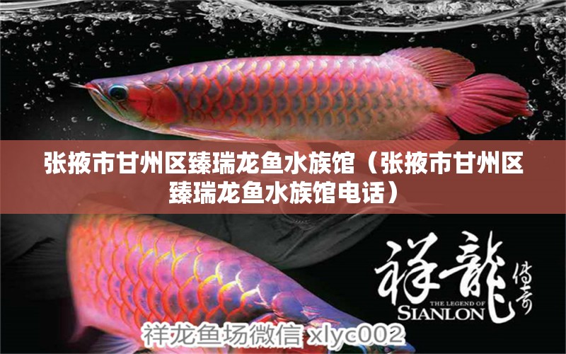 張掖市甘州區(qū)臻瑞龍魚水族館（張掖市甘州區(qū)臻瑞龍魚水族館電話）