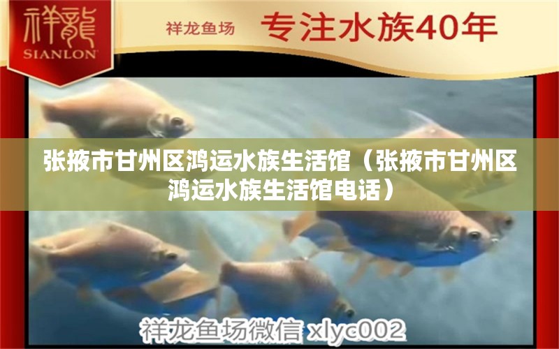 張掖市甘州區(qū)鴻運水族生活館（張掖市甘州區(qū)鴻運水族生活館電話） 全國水族館企業(yè)名錄