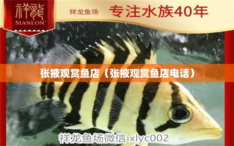 張掖觀賞魚(yú)店（張掖觀賞魚(yú)店電話） 觀賞魚(yú)市場(chǎng)