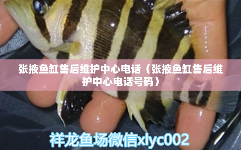 張掖魚缸售后維護中心電話（張掖魚缸售后維護中心電話號碼） 其他品牌魚缸