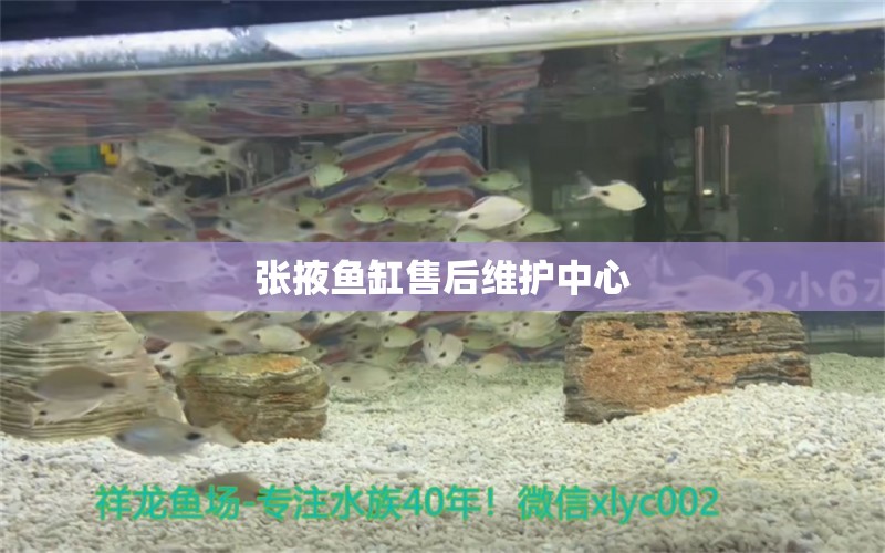 張掖魚(yú)缸售后維護(hù)中心