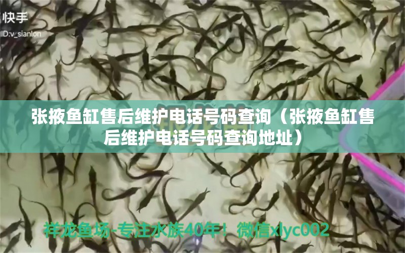 張掖魚缸售后維護電話號碼查詢（張掖魚缸售后維護電話號碼查詢地址）