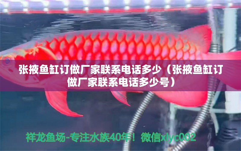 張掖魚缸訂做廠家聯(lián)系電話多少（張掖魚缸訂做廠家聯(lián)系電話多少號） 觀賞魚市場（混養(yǎng)魚）