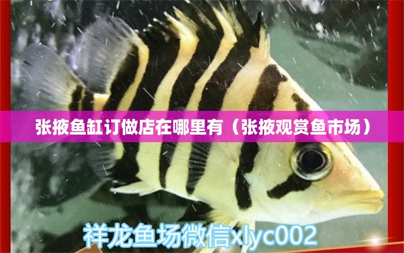 張掖魚缸訂做店在哪里有（張掖觀賞魚市場）