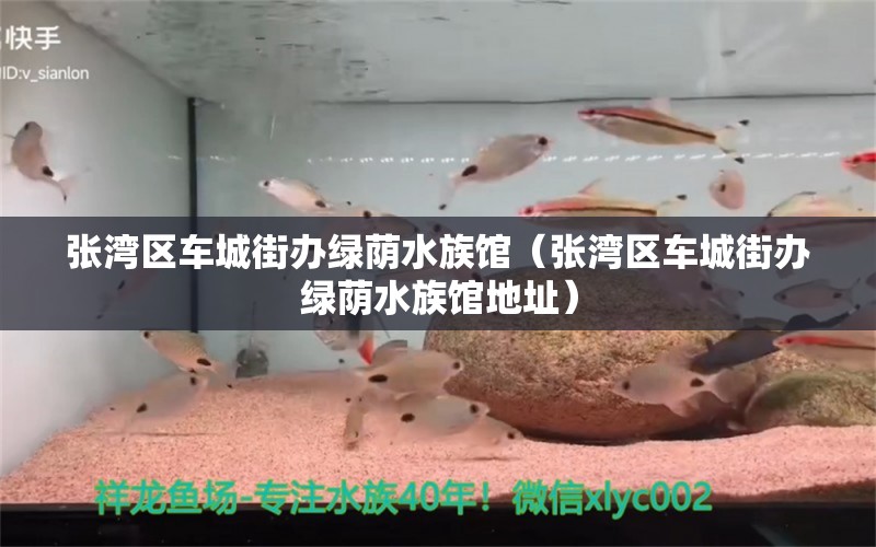 張灣區(qū)車城街辦綠蔭水族館（張灣區(qū)車城街辦綠蔭水族館地址）