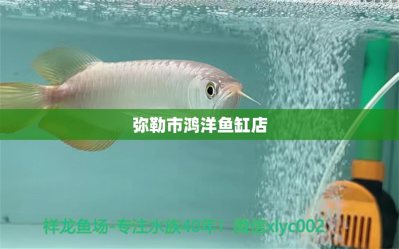 彌勒市鴻洋魚缸店 全國(guó)水族館企業(yè)名錄