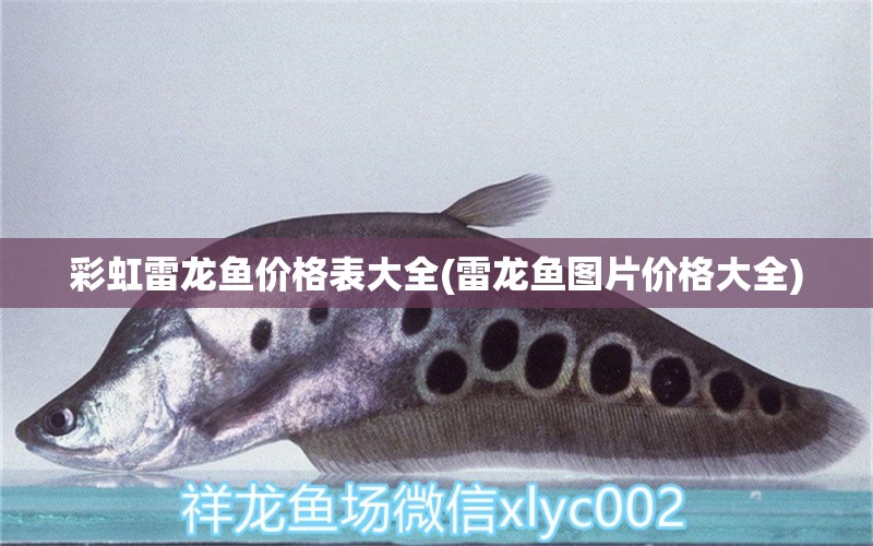 彩虹雷龍魚價(jià)格表大全(雷龍魚圖片價(jià)格大全) 硝化細(xì)菌