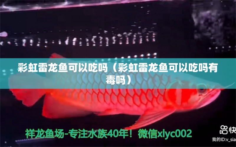 彩虹雷龍魚(yú)可以吃嗎（彩虹雷龍魚(yú)可以吃嗎有毒嗎）