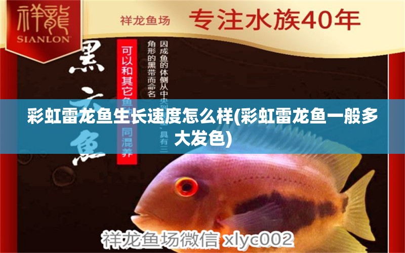 彩虹雷龍魚生長速度怎么樣(彩虹雷龍魚一般多大發(fā)色) 七紋巨鯉魚