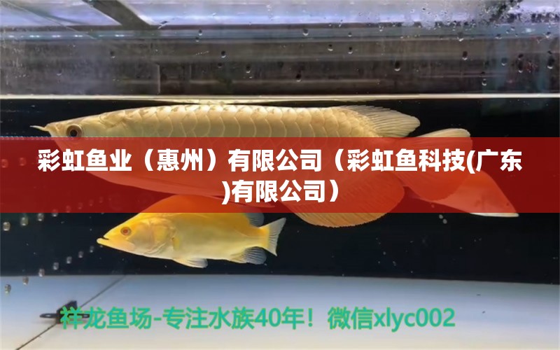 彩虹魚業(yè)（惠州）有限公司（彩虹魚科技(廣東)有限公司） 全國水族館企業(yè)名錄