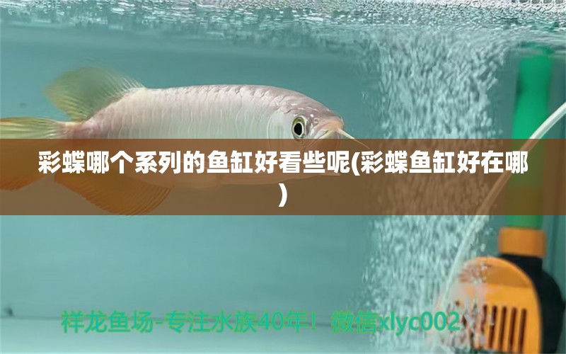 彩蝶哪個系列的魚缸好看些呢(彩蝶魚缸好在哪) 水族維護(hù)服務(wù)（上門） 第1張