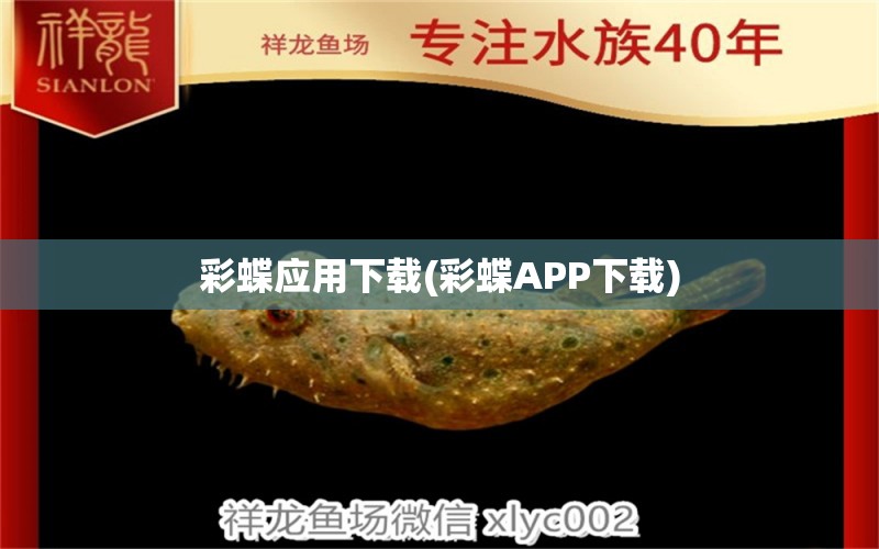 彩蝶應(yīng)用下載(彩蝶APP下載) 黑帝王魟魚