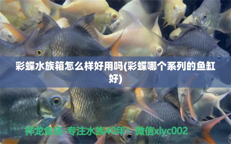 彩蝶水族箱怎么樣好用嗎(彩蝶哪個(gè)系列的魚(yú)缸好) 魚(yú)缸/水族箱