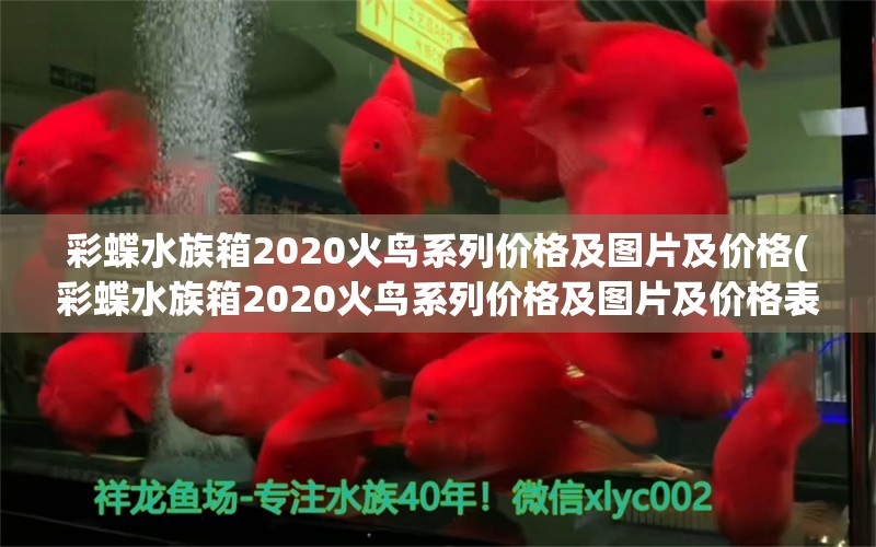 彩蝶水族箱2020火鳥系列價格及圖片及價格(彩蝶水族箱2020火鳥系列價格及圖片及價格表) 魚缸/水族箱