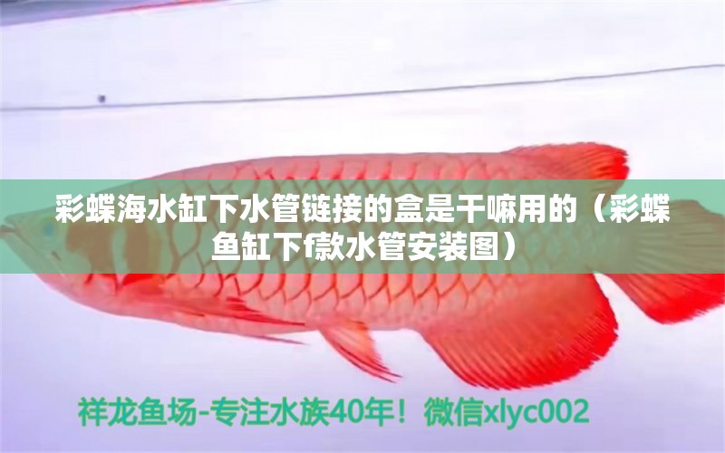 彩蝶海水缸下水管鏈接的盒是干嘛用的（彩蝶魚缸下f款水管安裝圖）