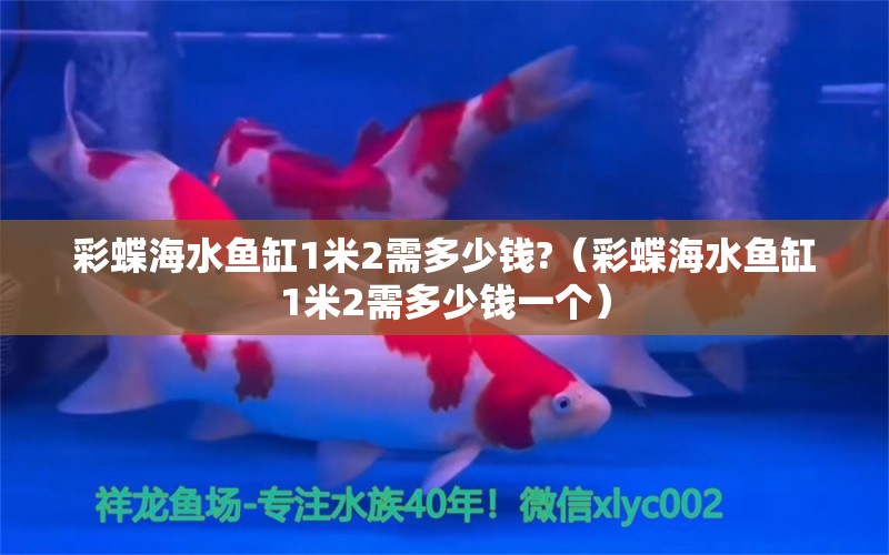 彩蝶海水魚缸1米2需多少錢?（彩蝶海水魚缸1米2需多少錢一個）