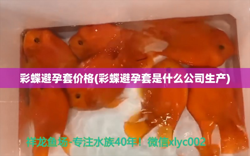 彩蝶避孕套價(jià)格(彩蝶避孕套是什么公司生產(chǎn)) 白寫錦鯉魚 第1張