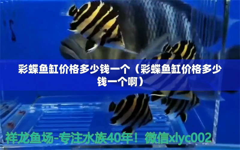 彩蝶魚(yú)缸價(jià)格多少錢(qián)一個(gè)（彩蝶魚(yú)缸價(jià)格多少錢(qián)一個(gè)?。? title=