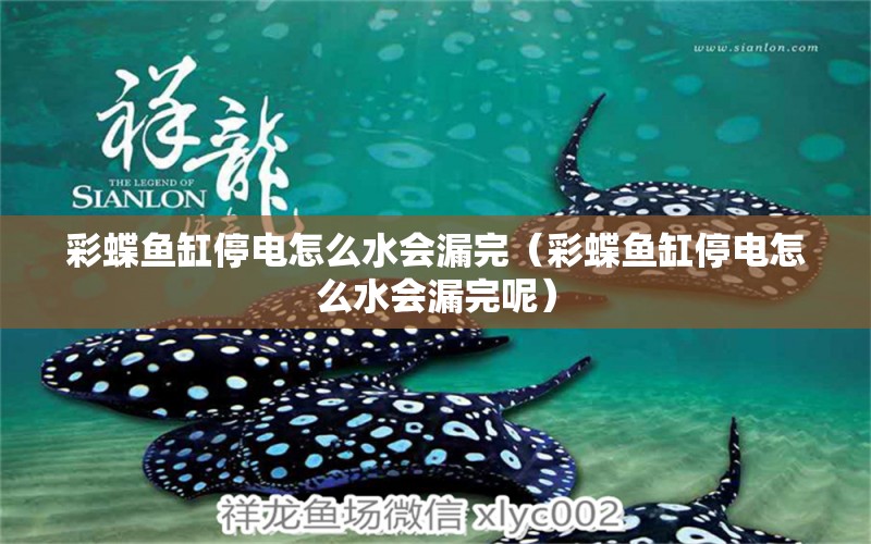 彩蝶魚(yú)缸停電怎么水會(huì)漏完（彩蝶魚(yú)缸停電怎么水會(huì)漏完呢）