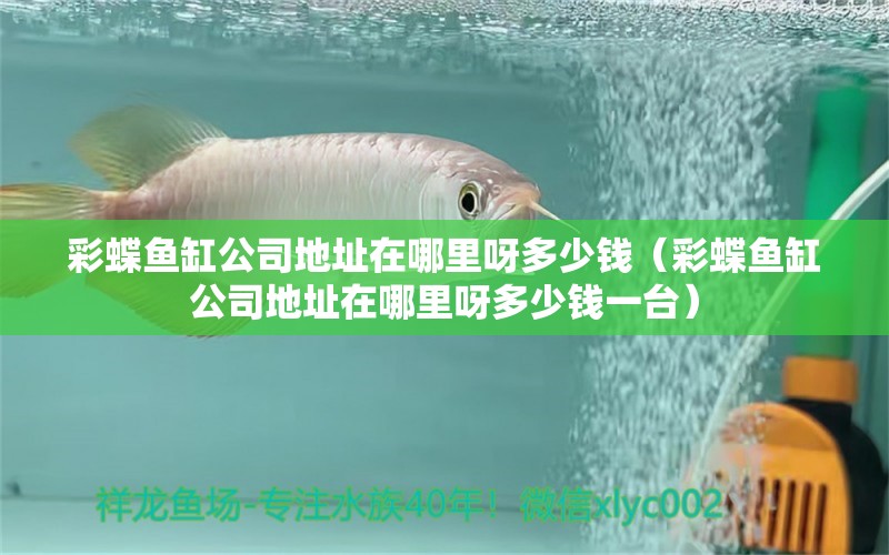 彩蝶魚缸公司地址在哪里呀多少錢（彩蝶魚缸公司地址在哪里呀多少錢一臺）