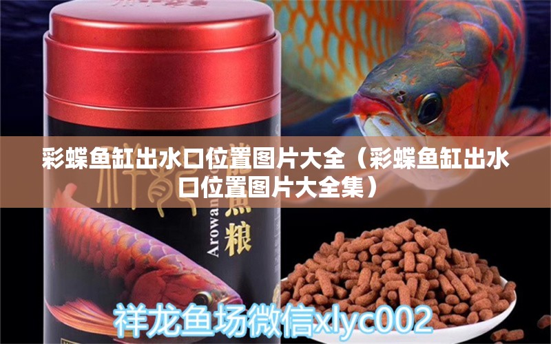 彩蝶魚缸出水口位置圖片大全（彩蝶魚缸出水口位置圖片大全集） 慈雕魚