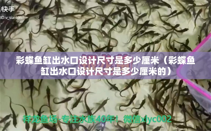 彩蝶魚缸出水口設(shè)計尺寸是多少厘米（彩蝶魚缸出水口設(shè)計尺寸是多少厘米的）