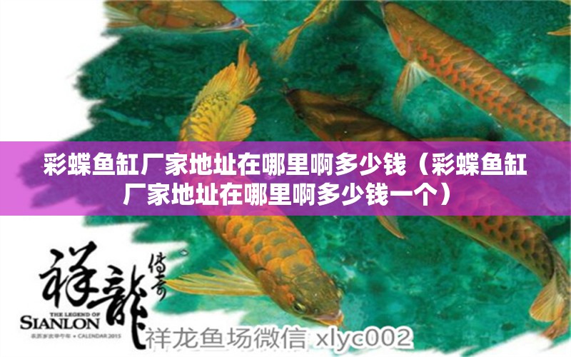 彩蝶魚缸廠家地址在哪里啊多少錢（彩蝶魚缸廠家地址在哪里啊多少錢一個）