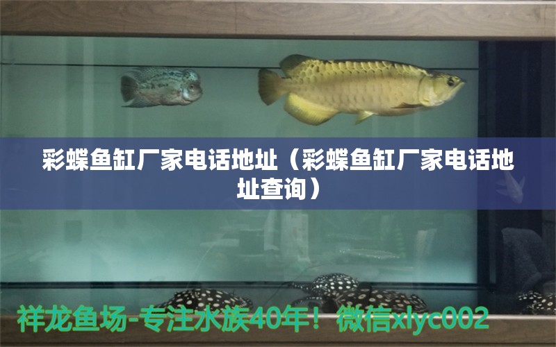 彩蝶魚(yú)缸廠家電話(huà)地址（彩蝶魚(yú)缸廠家電話(huà)地址查詢(xún)）