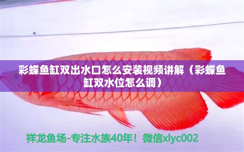 彩蝶魚缸雙出水口怎么安裝視頻講解（彩蝶魚缸雙水位怎么調(diào)）