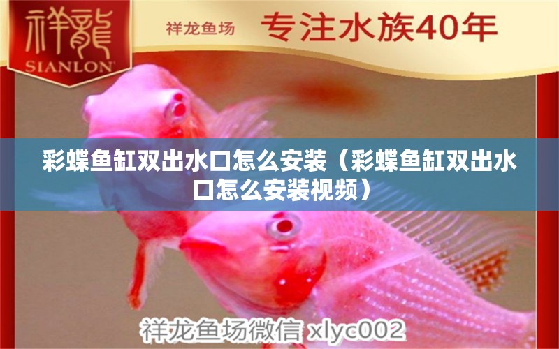 彩蝶魚缸雙出水口怎么安裝（彩蝶魚缸雙出水口怎么安裝視頻）