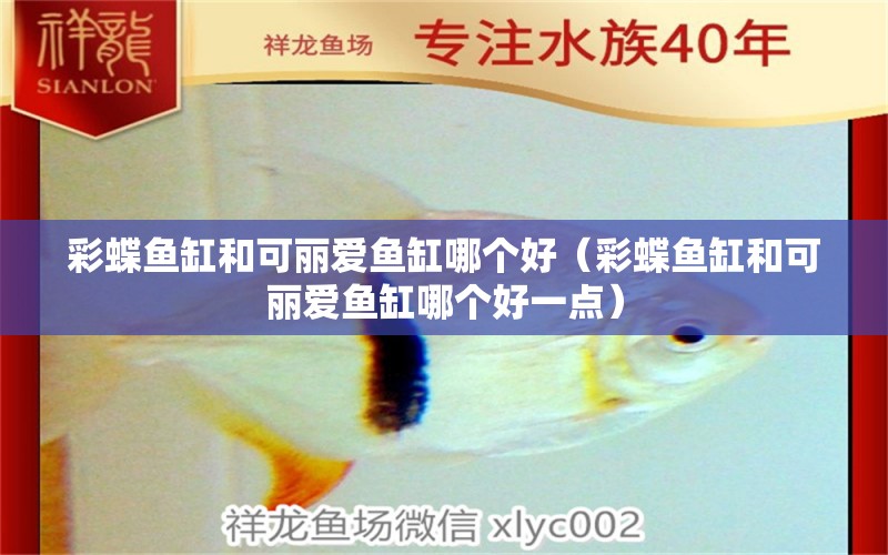 彩蝶魚缸和可麗愛魚缸哪個(gè)好（彩蝶魚缸和可麗愛魚缸哪個(gè)好一點(diǎn)）