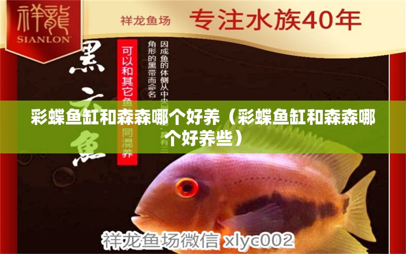 彩蝶魚缸和森森哪個好養(yǎng)（彩蝶魚缸和森森哪個好養(yǎng)些） 過濾設備