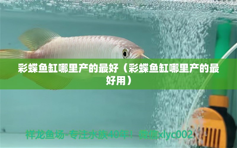 彩蝶魚(yú)缸哪里產(chǎn)的最好（彩蝶魚(yú)缸哪里產(chǎn)的最好用） 祥龍水族醫(yī)院