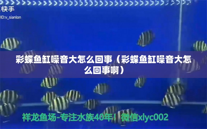 彩蝶魚缸噪音大怎么回事（彩蝶魚缸噪音大怎么回事?。? title=