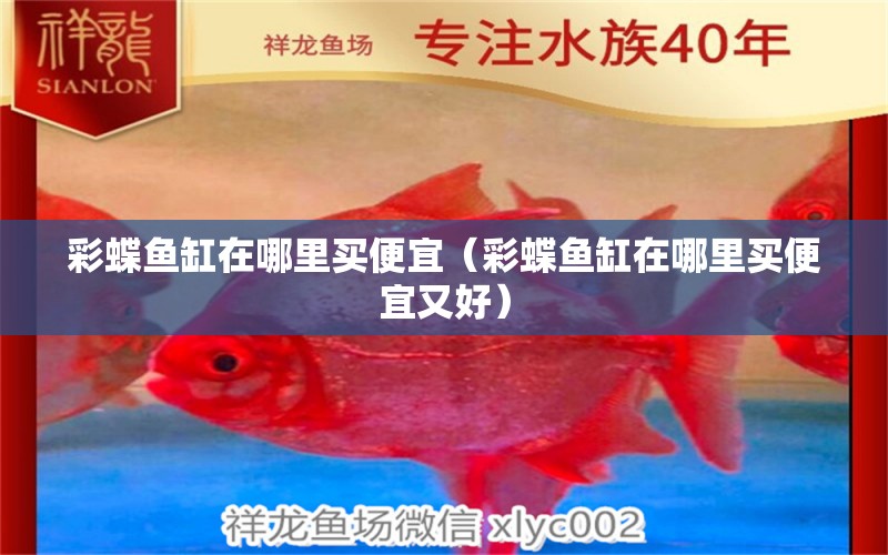 彩蝶魚缸在哪里買便宜（彩蝶魚缸在哪里買便宜又好）