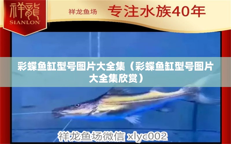 彩蝶魚缸型號圖片大全集（彩蝶魚缸型號圖片大全集欣賞）