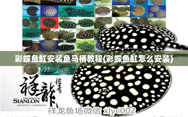 彩蝶魚(yú)缸安裝魚(yú)馬桶教程(彩蝶魚(yú)缸怎么安裝) 羅漢魚(yú)批發(fā)