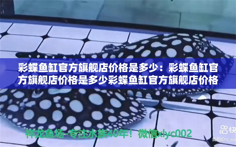 彩蝶魚缸官方旗艦店價格是多少：彩蝶魚缸官方旗艦店價格是多少彩蝶魚缸官方旗艦店價格是多少 彩鰈魚缸（彩蝶魚缸） 第2張