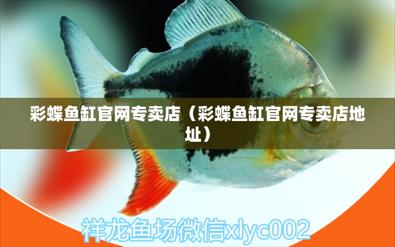 彩蝶魚缸官網(wǎng)專賣店（彩蝶魚缸官網(wǎng)專賣店地址） 祥龍水族醫(yī)院