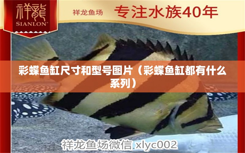 彩蝶魚缸尺寸和型號(hào)圖片（彩蝶魚缸都有什么系列）